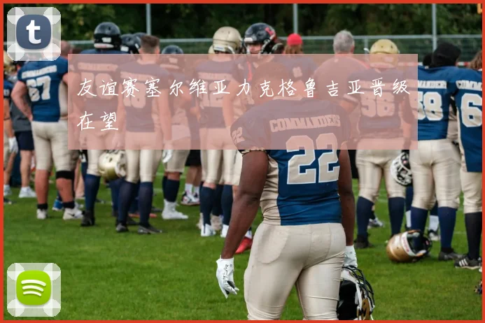友谊赛塞尔维亚力克格鲁吉亚晋级在望