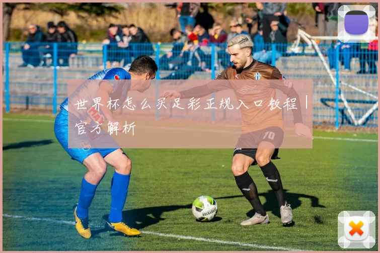 世界杯怎么买足彩正规入口教程｜官方解析