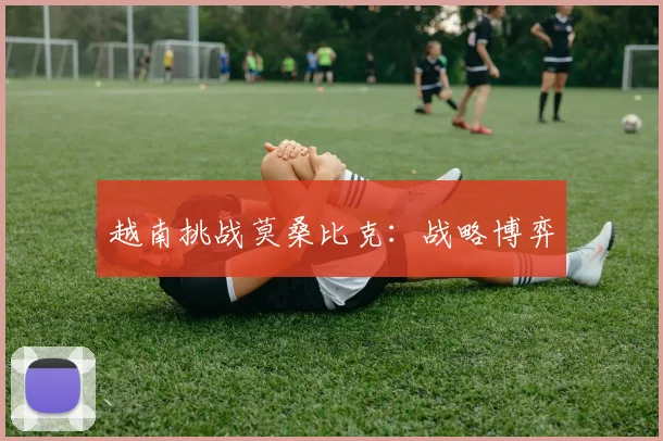 越南挑战莫桑比克：战略博弈