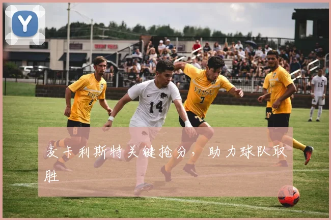 麦卡利斯特关键抢分，助力球队取胜