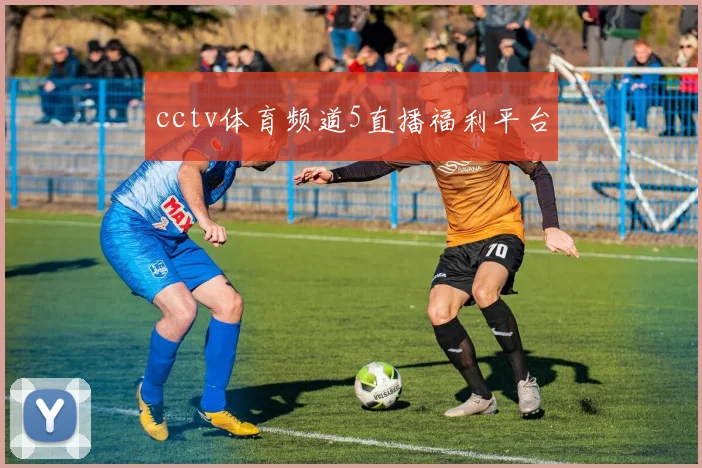 cctv体育频道5直播福利平台