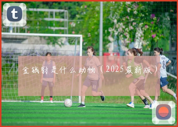 金钱豺是什么动物（2025最新版）