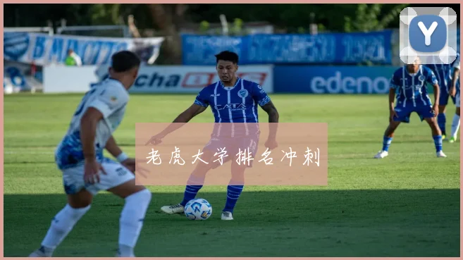 老虎大学排名冲刺