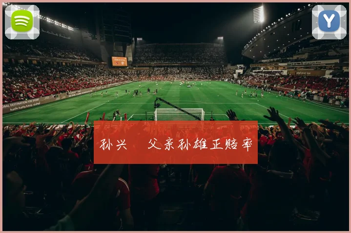 孙兴慜父亲孙雄正赔率