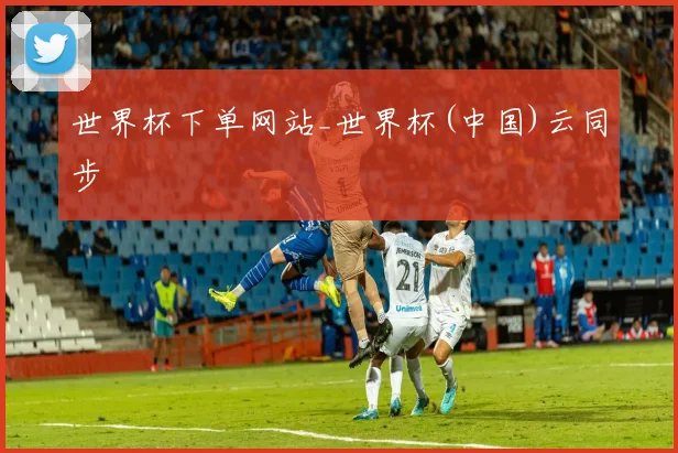 世界杯下单网站_世界杯(中国)云同步