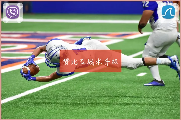 赞比亚战术升级