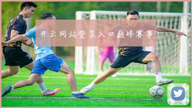 开云网站登录入口巅峰赛事