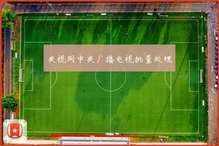 央视网中央广播电视批量处理