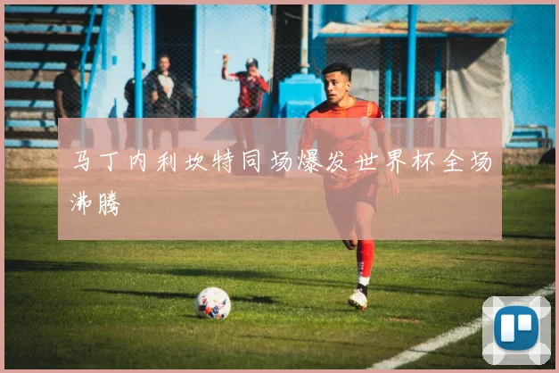 马丁内利坎特同场爆发世界杯全场沸腾
