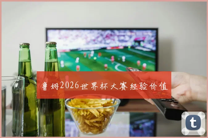 鲁姆2026世界杯大赛经验价值