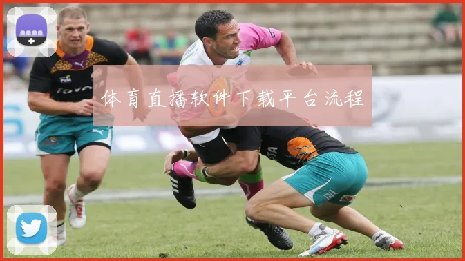 体育直播软件下载平台流程