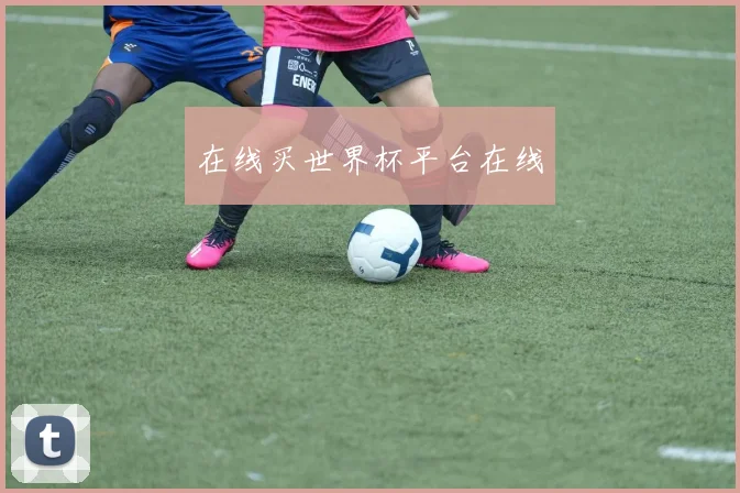 在线买世界杯平台在线