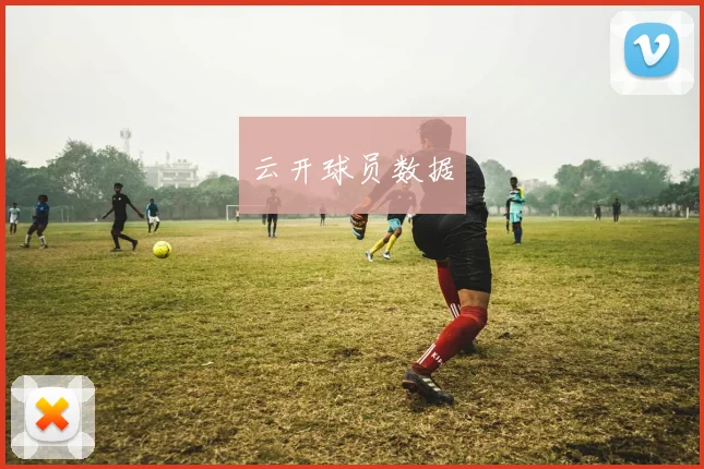 云开球员数据