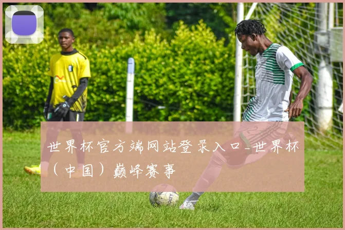 世界杯官方端网站登录入口_世界杯（中国）巅峰赛事