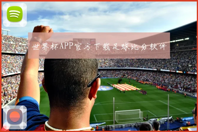 世界杯APP官方下载足球比分软件