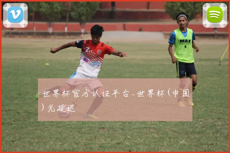 世界杯官方认证平台_世界杯(中国)无延迟