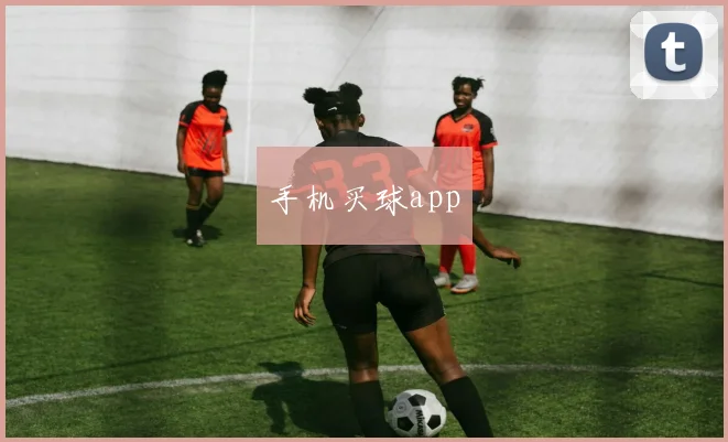 手机买球app
