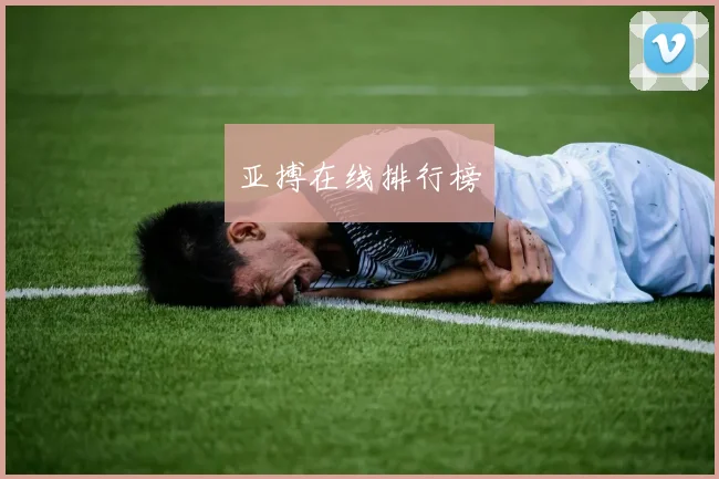 亚搏在线排行榜
