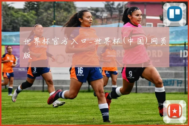 世界杯官方入口_世界杯(中国)网页版