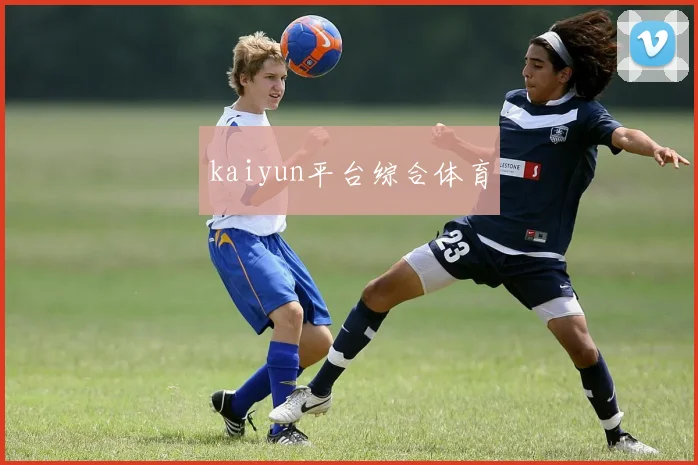 kaiyun平台综合体育