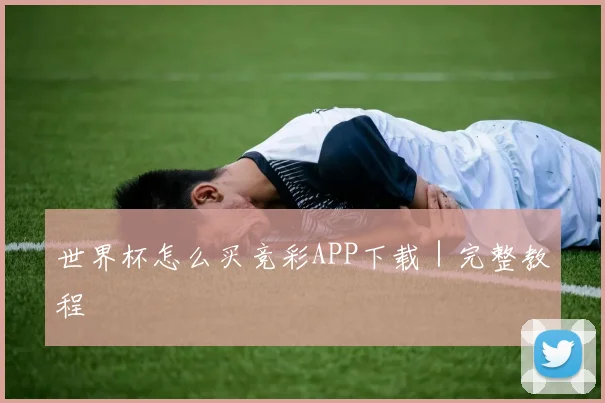 世界杯怎么买竞彩APP下载|完整教程