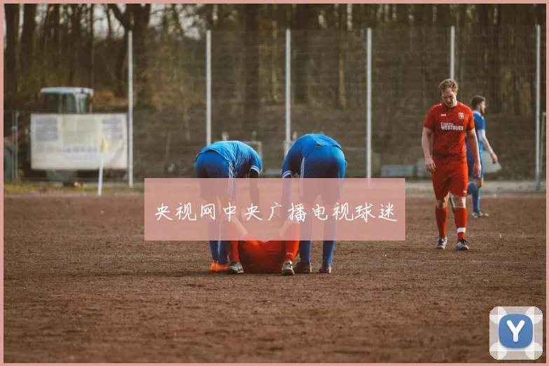 央视网中央广播电视球迷