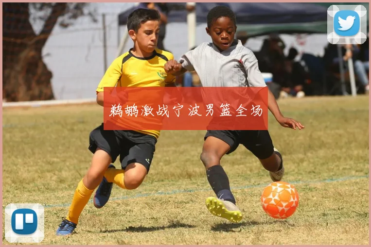 鹈鹕激战宁波男篮全场