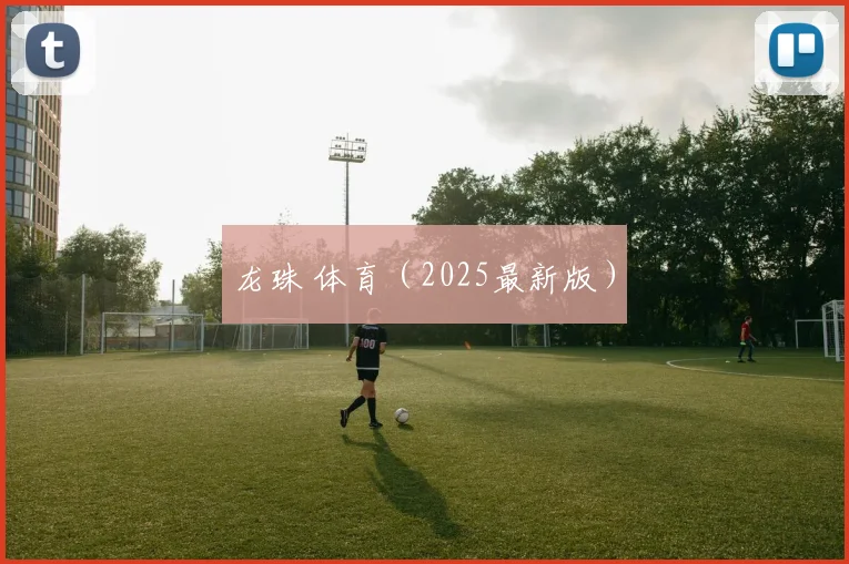 龙珠 体育（2025最新版）