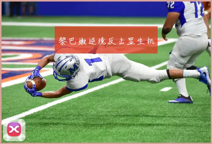 黎巴嫩逆境反击显生机