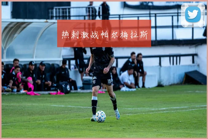 热刺激战帕尔梅拉斯