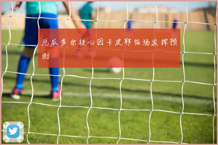 厄瓜多尔核心因卡皮耶临场发挥预测