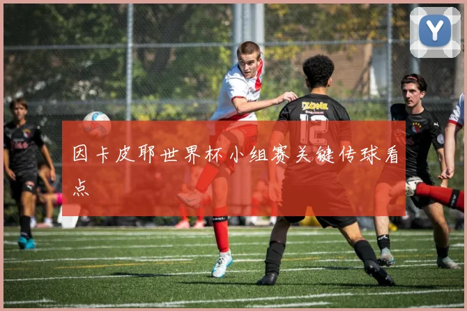 因卡皮耶世界杯小组赛关键传球看点